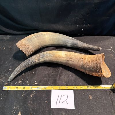 Horn Set
