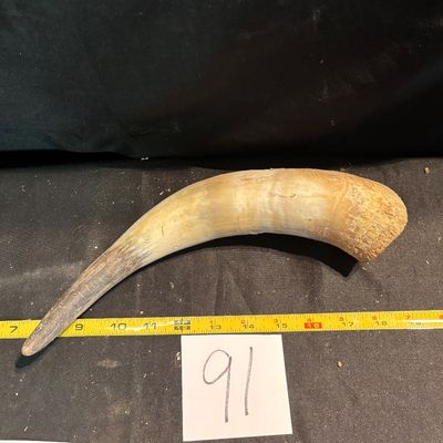 Unpolished Horn