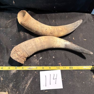 Horn Set