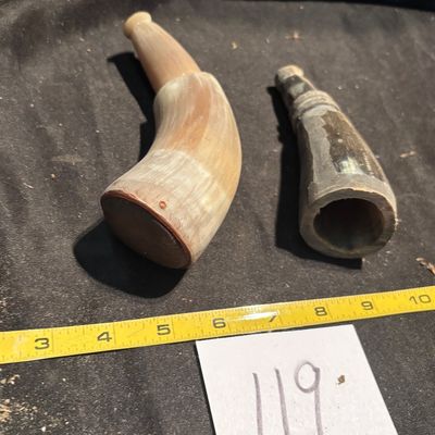 Polished Horn Lot