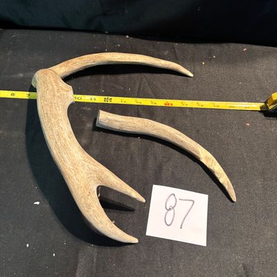 Antler Lot