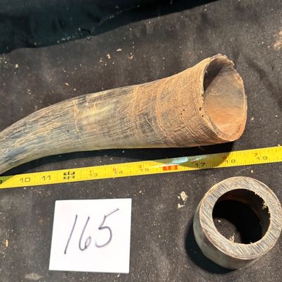 Unpolished Horn