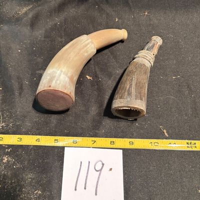 Polished Horn Lot