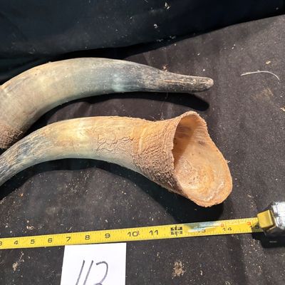 Horn Set