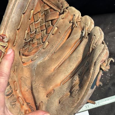 Wilson Ball Glove