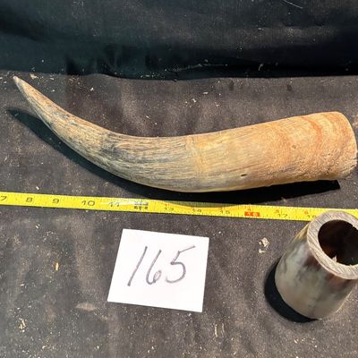 Unpolished Horn