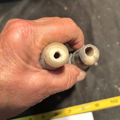 Polished Horn Lot