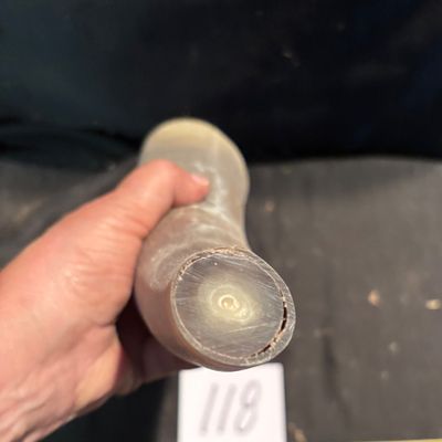 Polished Horn