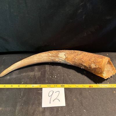 Unpolished Horn