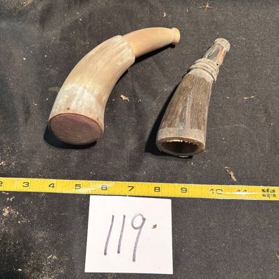 Polished Horn Lot