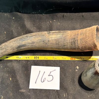 Unpolished Horn