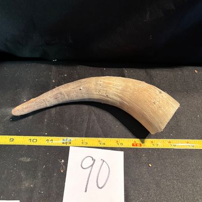 Unpolished Horn