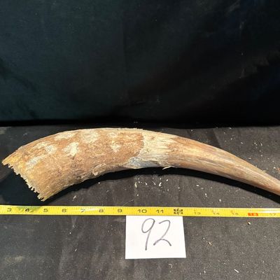 Unpolished Horn