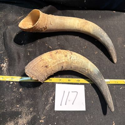 Horn Set