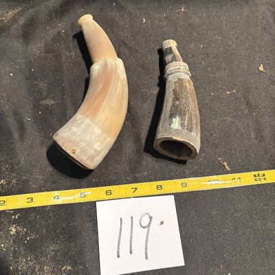 Polished Horn Lot