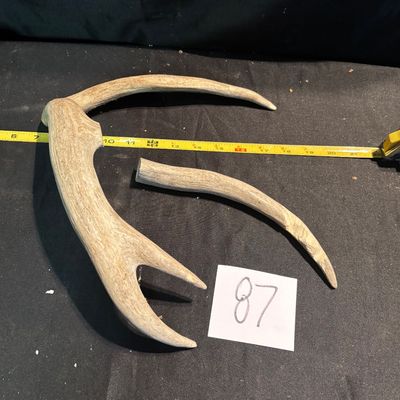 Antler Lot