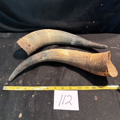 Horn Set