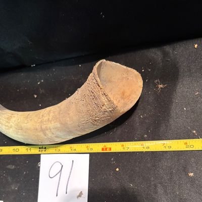 Unpolished Horn