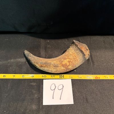 Unpolished Horn