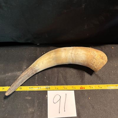 Unpolished Horn