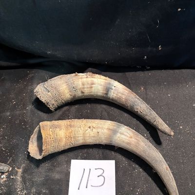 Horn Set