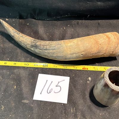 Unpolished Horn