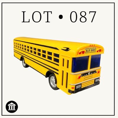 087 | Blue Bird School Bus | Bank