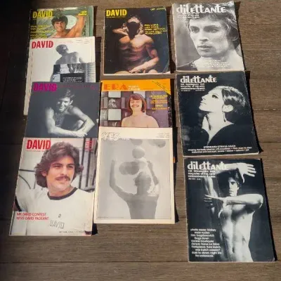 Collection Of Several Vintage Magazines, Including Titles like Dilettante and David