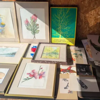 Abundance of Lost Watercolors That Need a Home