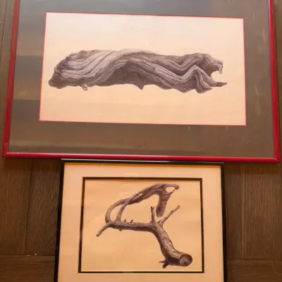Detailed Drawings Of Driftwood Branches