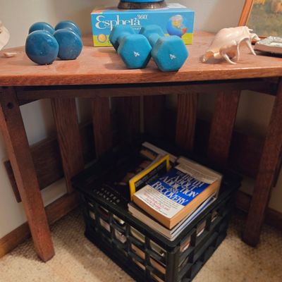 Set of 4 lb Dumbbells and Esphera 360 Globe