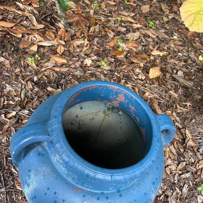 Large Blue Pots