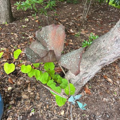 Trio of Metal Yard Art