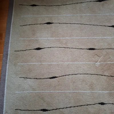 12' x 8' Van Den Brink & Campman Holland Rug-Arusha Collection