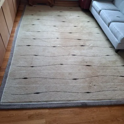 12' x 8' Van Den Brink & Campman Holland Rug-Arusha Collection