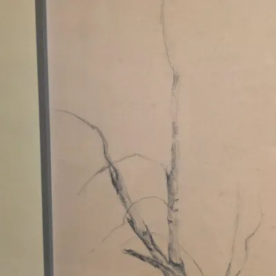 Framed Signed Tree Sketch by Weglewski (LR-JS)