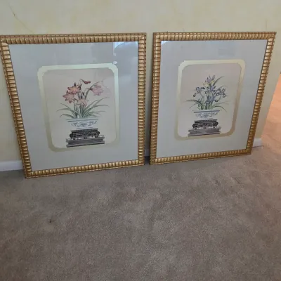 Pair of Framed Botanical Prints (DR-JS)