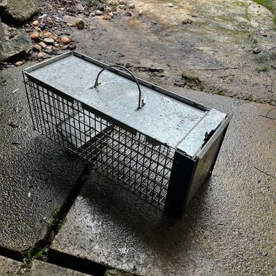All Season Lawn & Garden Tools (S-KA)