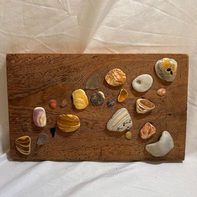 Shells & Coral Galore (DR-SF)