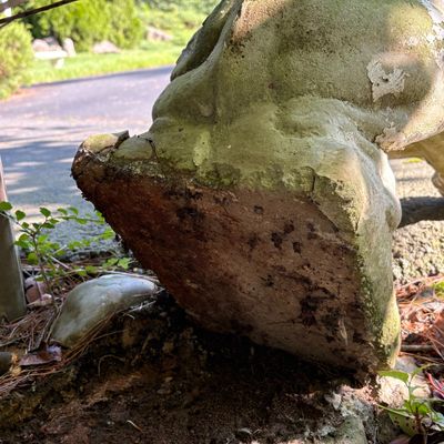 Concrete Lion Statue (DG-KA)