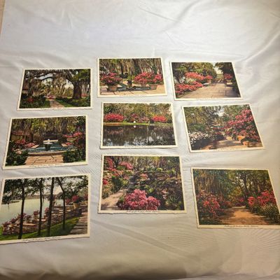 Antique Pictures, Postcards, Recipe Books, & More (DR-SF)