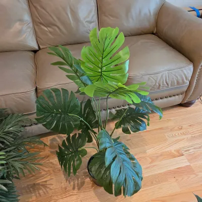Five Potted Artificial Plants (D-JS)