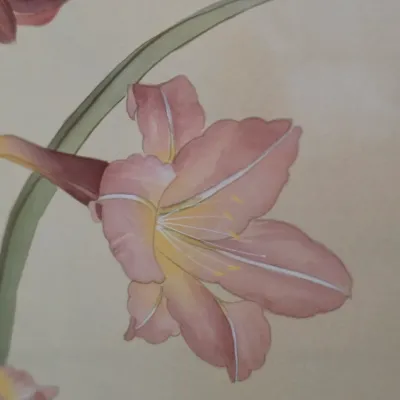 Pair of Framed Botanical Prints (DR-JS)