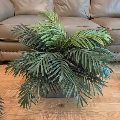 Five Potted Artificial Plants (D-JS)