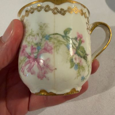 Haviland Limoges Demitasse China (G-BC)