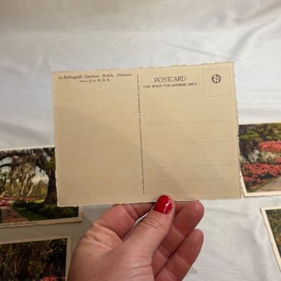 Antique Pictures, Postcards, Recipe Books, & More (DR-SF)