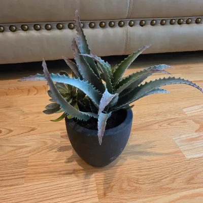 Five Potted Artificial Plants (D-JS)