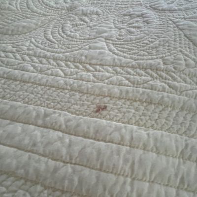 Bloomingdale’s, Williamsburg and More Queen Bedding (GB-BC)