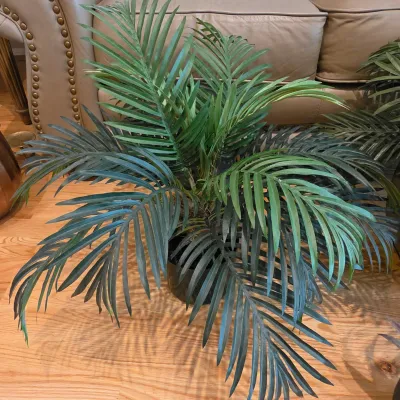 Five Potted Artificial Plants (D-JS)