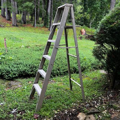 Metal A-Frame & Extension Ladders (S-KA)